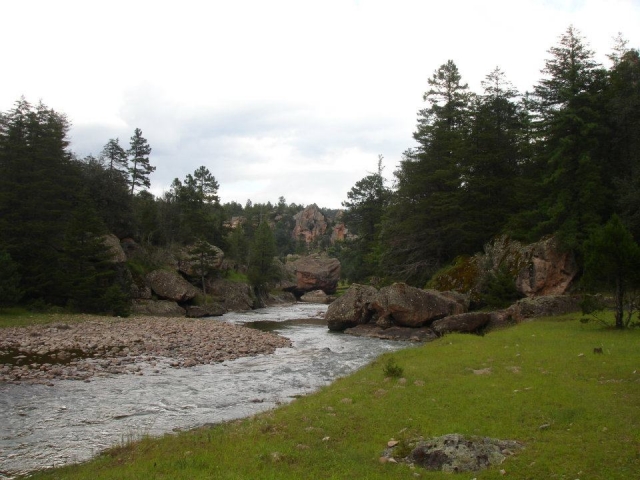 Senderos y caminos